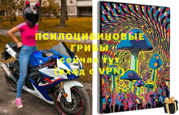 PSILOCYBIN Кукмор