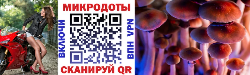 мега ТОР  Лесной  Псилоцибиновые грибы мицелий  дарнет шоп 