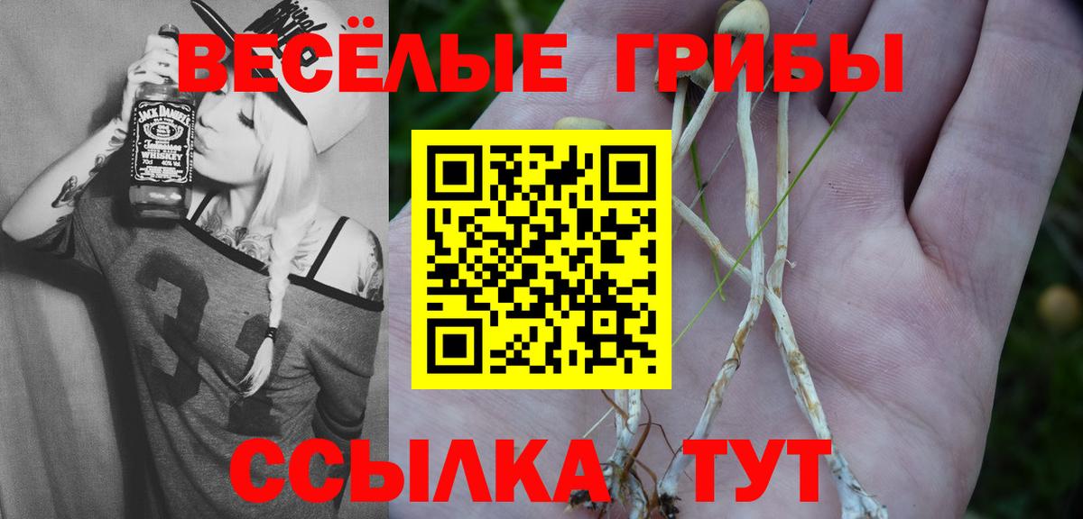 Лесной  Галлюциногенные грибы Psilocybine cubensis  Вход с VPN 